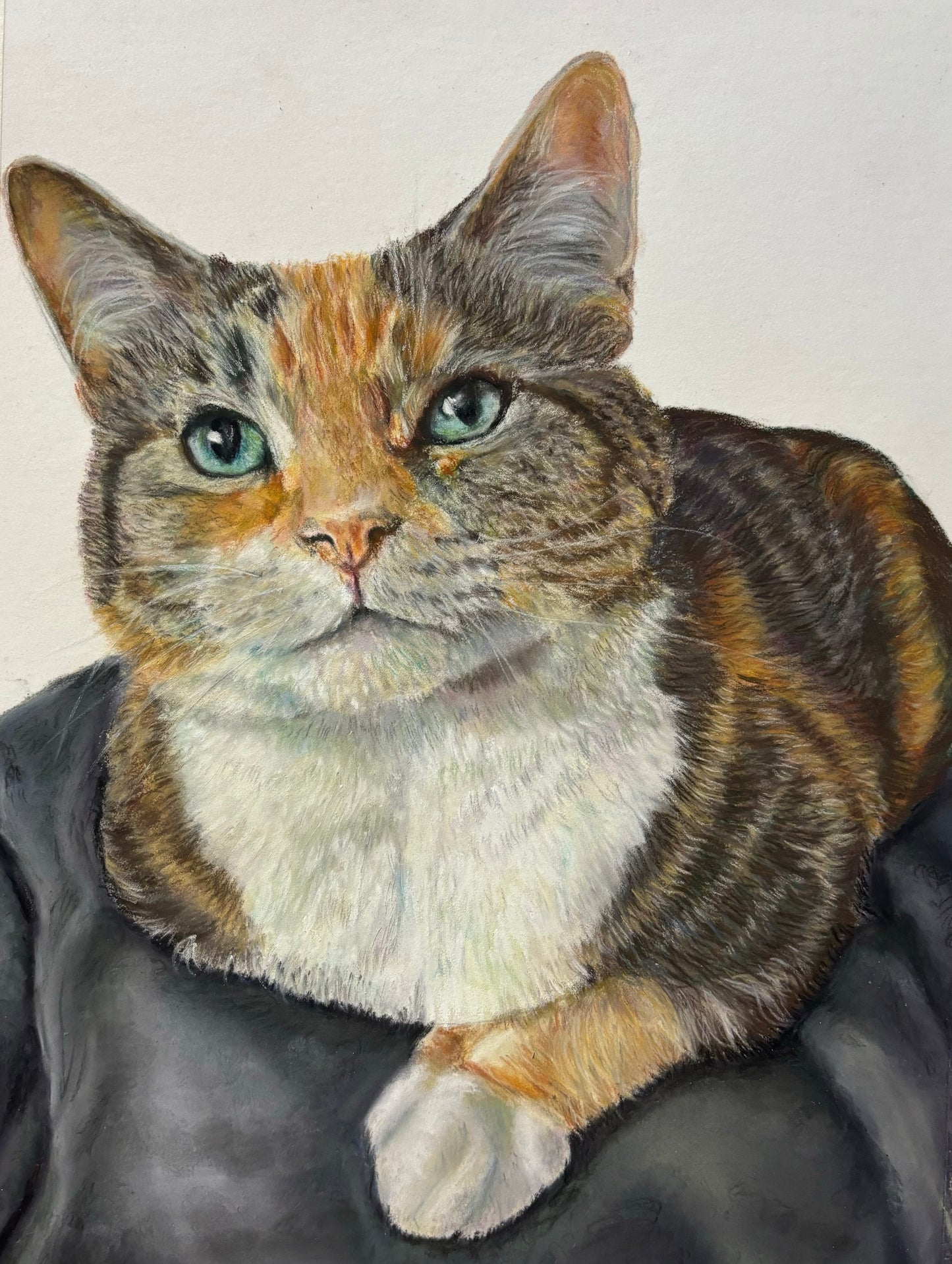 Pet Portrait 30x40cm