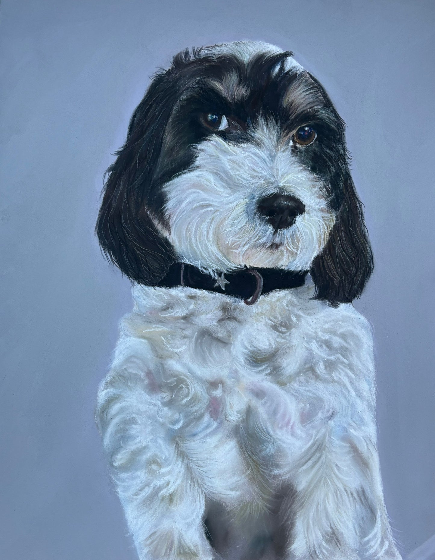 Pet Portrait 30x40cm