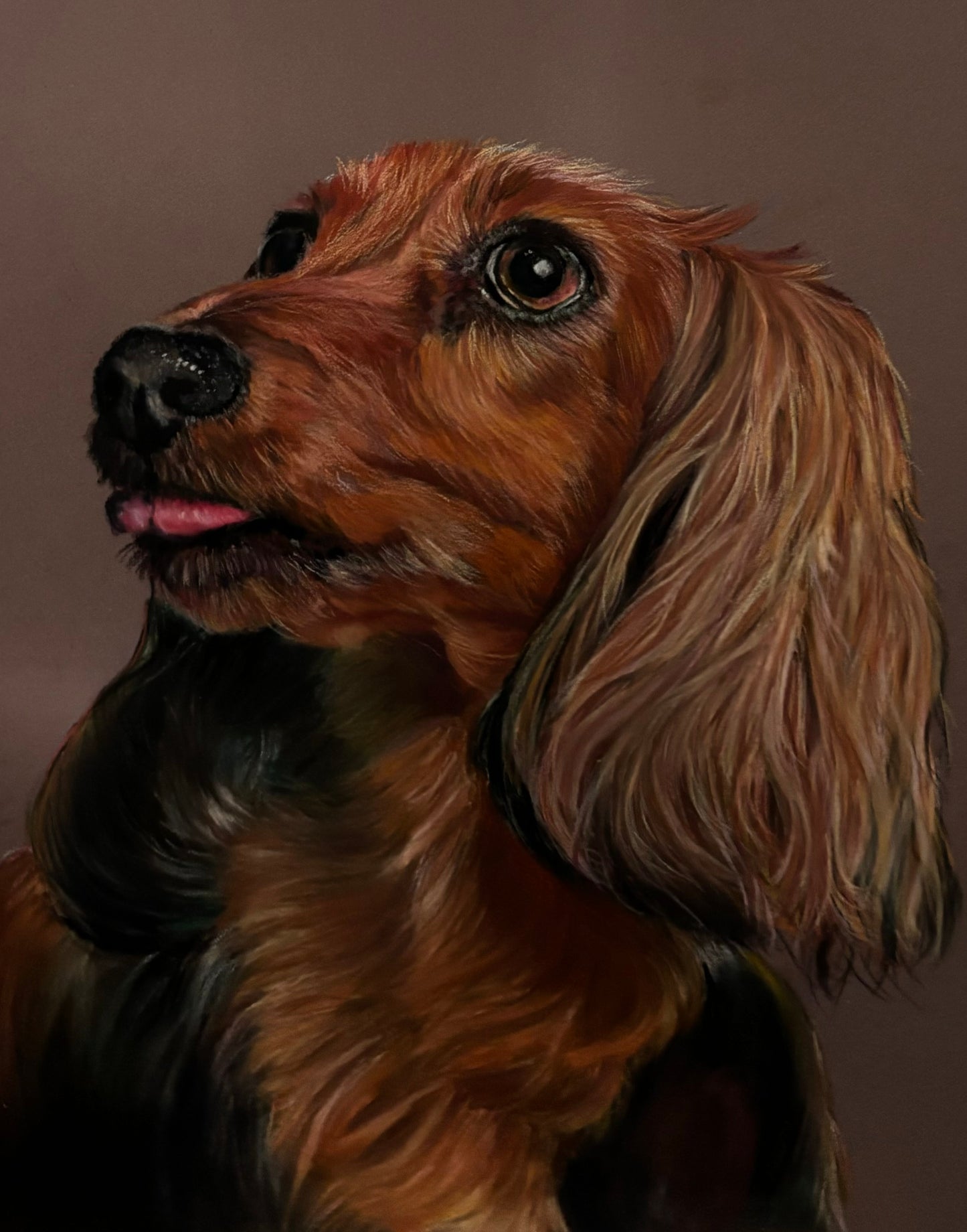 Pet Portrait 24x30cm