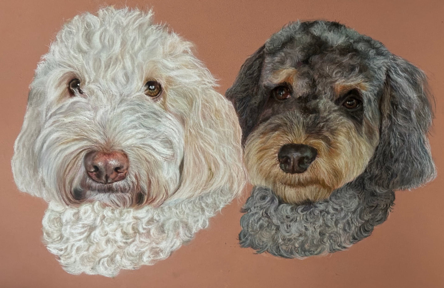 Portrait of two pets 30x40cm