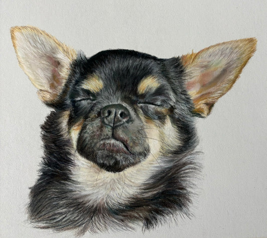 Pet Portrait 30x40cm